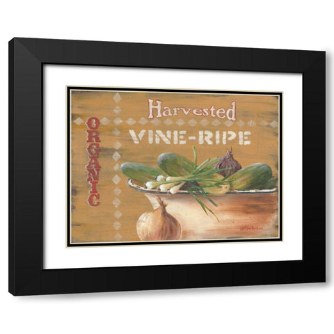 Vine Ripe Black Modern Wood Framed Art Print with Double Matting by Britton, Pam