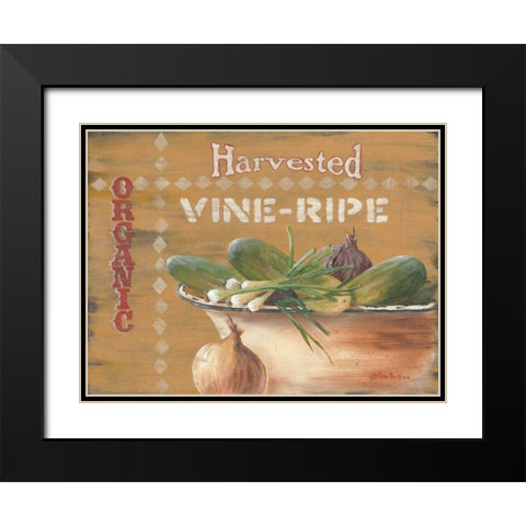 Vine Ripe Black Modern Wood Framed Art Print with Double Matting by Britton, Pam