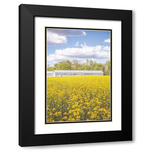 Field of Yellow I Black Modern Wood Framed Art Print with Double Matting by Quillen, Donnie