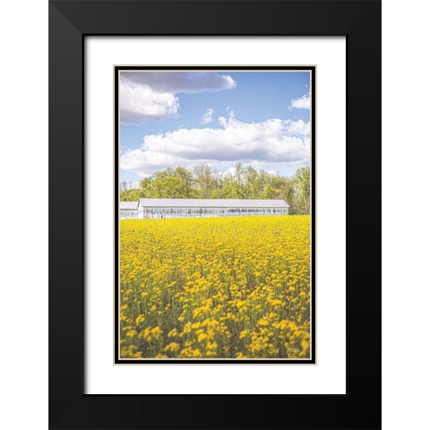 Field of Yellow I Black Modern Wood Framed Art Print with Double Matting by Quillen, Donnie