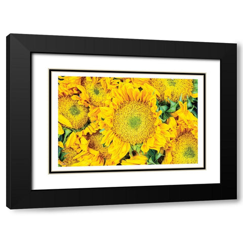 Fall Feels I Black Modern Wood Framed Art Print with Double Matting by Quillen, Donnie