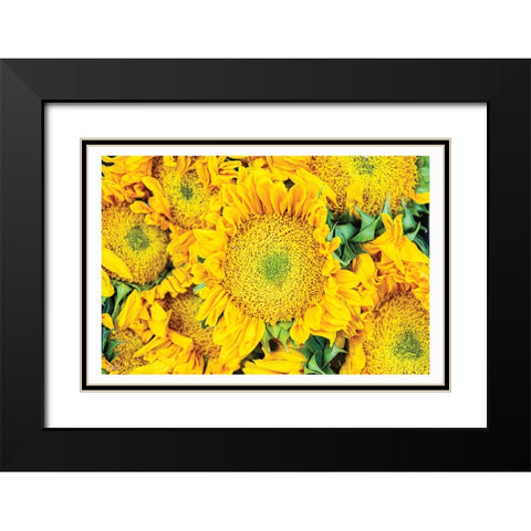 Fall Feels I Black Modern Wood Framed Art Print with Double Matting by Quillen, Donnie