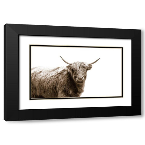 Highland Portrait Black Modern Wood Framed Art Print with Double Matting by Quillen, Donnie
