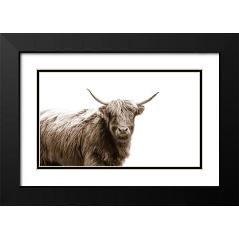 Highland Portrait Black Modern Wood Framed Art Print with Double Matting by Quillen, Donnie