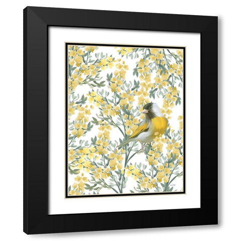 Yellow Spring Finch Black Modern Wood Framed Art Print with Double Matting by House Fenway