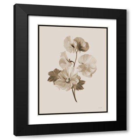 Sepia Botanical II Black Modern Wood Framed Art Print with Double Matting by House Fenway