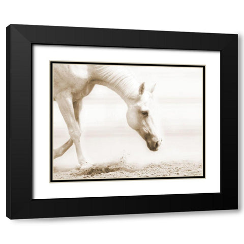 Trail Horse Sepia Black Modern Wood Framed Art Print with Double Matting by Brooks, Kari
