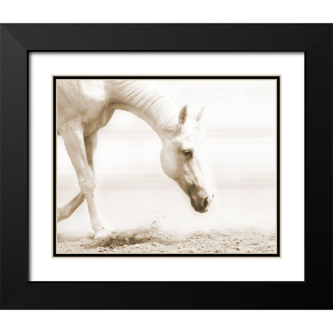 Trail Horse Sepia Black Modern Wood Framed Art Print with Double Matting by Brooks, Kari