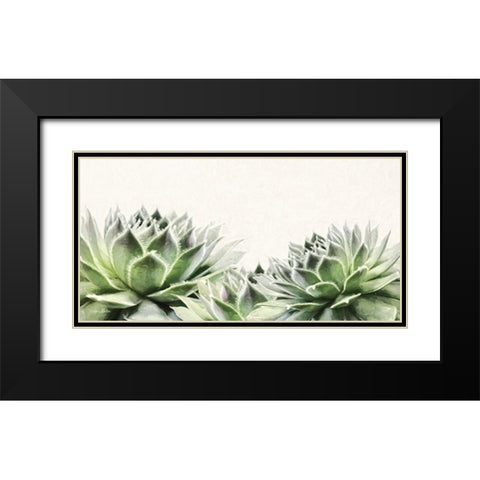 Soft Succulents I Black Modern Wood Framed Art Print with Double Matting by Deiter, Lori