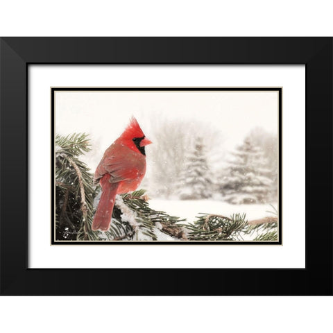 Winter Perch Black Modern Wood Framed Art Print with Double Matting by Deiter, Lori