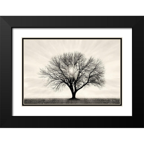 Grow in Different Directions Black Modern Wood Framed Art Print with Double Matting by Deiter, Lori