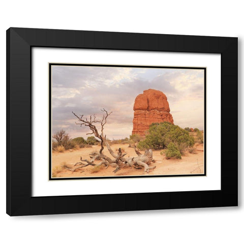Dusty Desert I Black Modern Wood Framed Art Print with Double Matting by Deiter, Lori