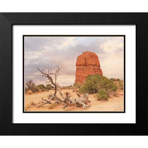 Dusty Desert I Black Modern Wood Framed Art Print with Double Matting by Deiter, Lori