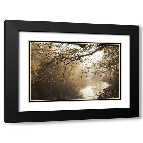 Morning Rays at Swatara Creek Black Modern Wood Framed Art Print with Double Matting by Deiter, Lori