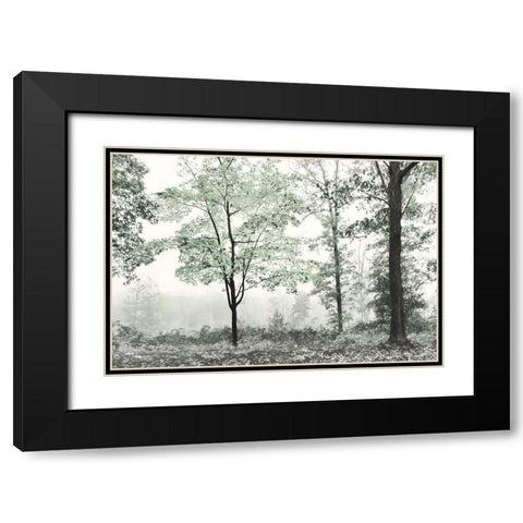 Three Trees Black Modern Wood Framed Art Print with Double Matting by Deiter, Lori
