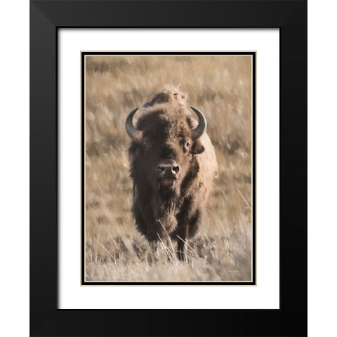 Yellowstone Bison Black Modern Wood Framed Art Print with Double Matting by Deiter, Lori