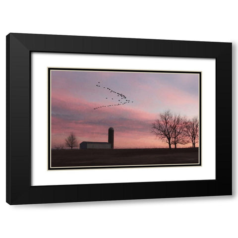 Spring Migration of Snow Geese Black Modern Wood Framed Art Print with Double Matting by Deiter, Lori