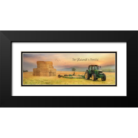 The Harvest is Plentiful Black Modern Wood Framed Art Print with Double Matting by Deiter, Lori