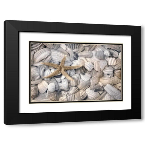 Starfish and Seashells Black Modern Wood Framed Art Print with Double Matting by Deiter, Lori