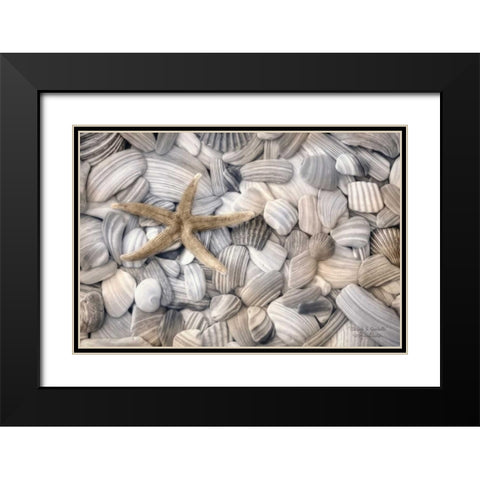 Starfish and Seashells Black Modern Wood Framed Art Print with Double Matting by Deiter, Lori