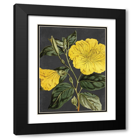 Yellow Vine Black Modern Wood Framed Art Print with Double Matting by Lettered and Lined