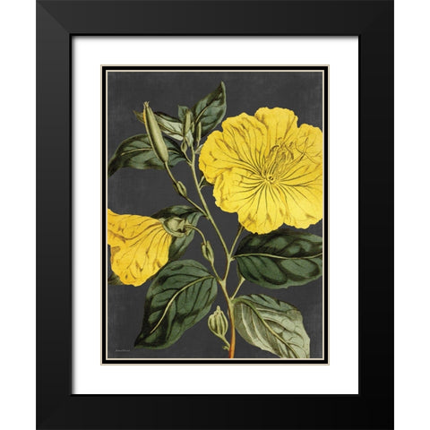 Yellow Vine Black Modern Wood Framed Art Print with Double Matting by Lettered and Lined