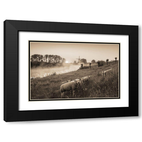 Grazing Sheep Black Modern Wood Framed Art Print with Double Matting by Podt, Martin