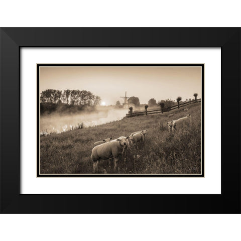 Grazing Sheep Black Modern Wood Framed Art Print with Double Matting by Podt, Martin
