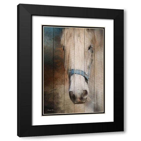 Old Gray Mare Black Modern Wood Framed Art Print with Double Matting by Vieira, Robin-Lee