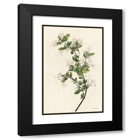 Wood Pewee Black Modern Wood Framed Art Print with Double Matting by Stellar Design Studio