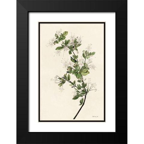 Wood Pewee Black Modern Wood Framed Art Print with Double Matting by Stellar Design Studio