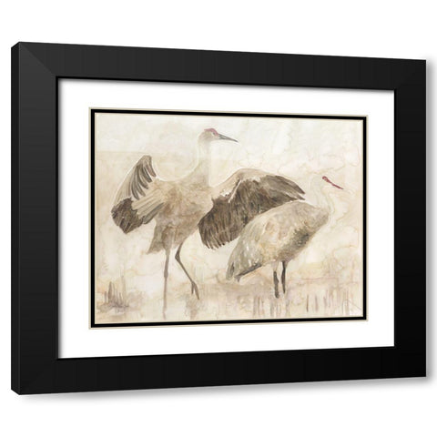 Sandhill Cranes 2 Black Modern Wood Framed Art Print with Double Matting by Stellar Design Studio