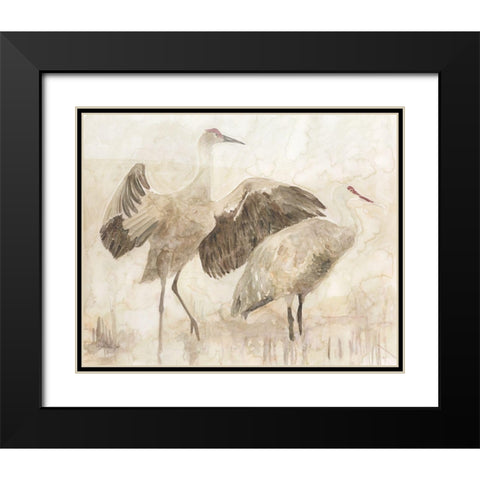 Sandhill Cranes 2 Black Modern Wood Framed Art Print with Double Matting by Stellar Design Studio
