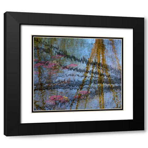 Lily pond reflection abstract Black Modern Wood Framed Art Print with Double Matting by Jaynes Gallery