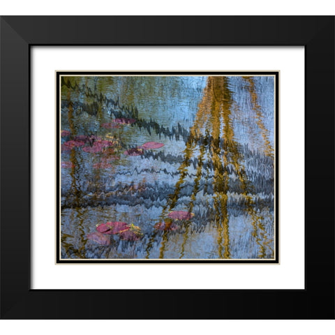 Lily pond reflection abstract Black Modern Wood Framed Art Print with Double Matting by Jaynes Gallery