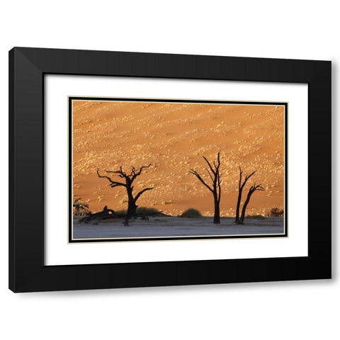 Dead tree, Dead Vlei, Sossusvlei, Namibia Black Modern Wood Framed Art Print with Double Matting by Kaveney, Wendy