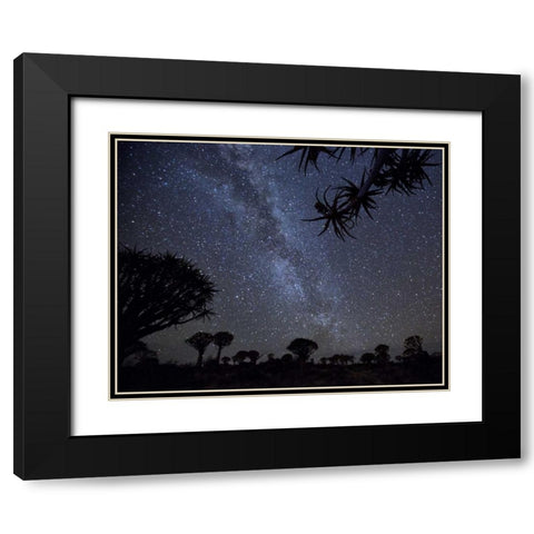 Namibia Milky Way and quiver trees at night Black Modern Wood Framed Art Print with Double Matting by Kaveney, Wendy