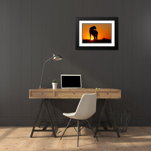 Namibia Cheetah silhouette at sunset Black Modern Wood Framed Art Print with Double Matting by Jaynes Gallery