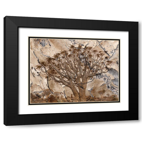 Africa-Namibia-Quiver tree and bark photo montage Black Modern Wood Framed Art Print with Double Matting by Jaynes Gallery