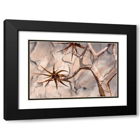 Africa-Namibia-Quiver tree and bark photo montage Black Modern Wood Framed Art Print with Double Matting by Jaynes Gallery