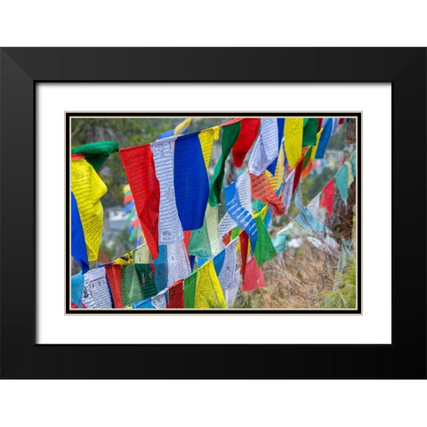 Bhutan-Thimphu Colorful prayer flags on mountain top at the Sangaygang Geodetic Station Black Modern Wood Framed Art Print with Double Matting by Hopkins, Cindy Miller