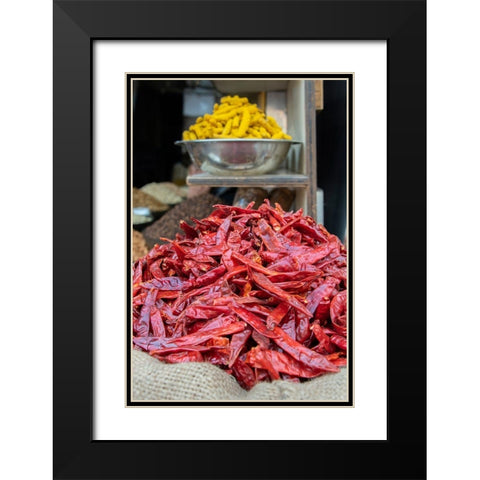 India-Delhi-Old Delhi Old Delhi street market Black Modern Wood Framed Art Print with Double Matting by Hopkins, Cindy Miller