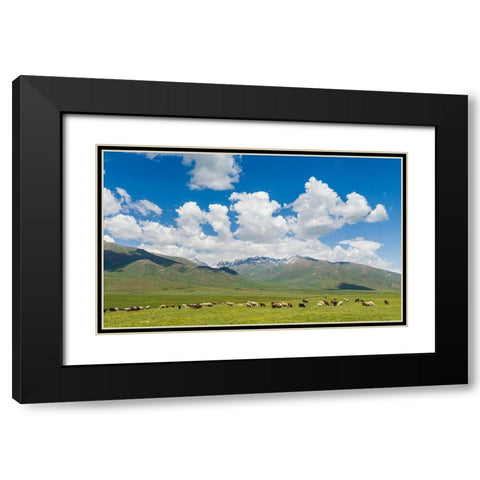 Summer pasture with traditional Yurts The Suusamyr plain Black Modern Wood Framed Art Print with Double Matting by Zwick, Martin