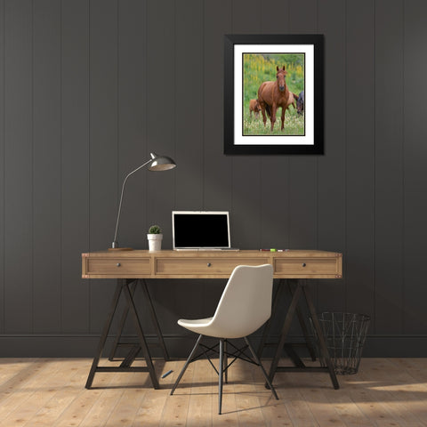 Horses on their summer pasture National Park Besch Tasch in the Talas Alatoo mountain range Black Modern Wood Framed Art Print with Double Matting by Zwick, Martin