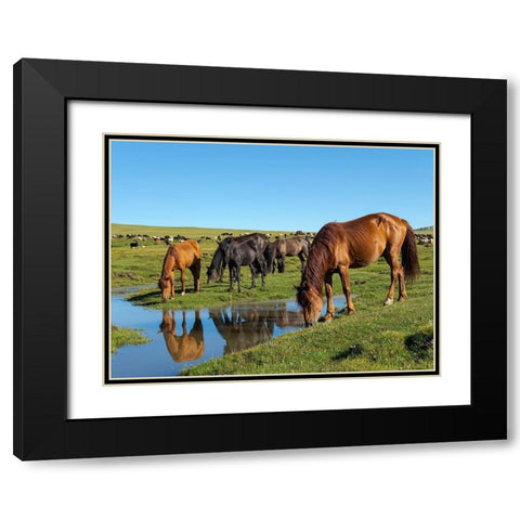 Horses on their mountain pasture at lake Song Kol  Black Modern Wood Framed Art Print with Double Matting by Zwick, Martin