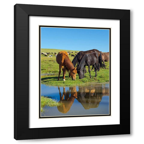 Horses on their mountain pasture at lake Song Kol  Black Modern Wood Framed Art Print with Double Matting by Zwick, Martin