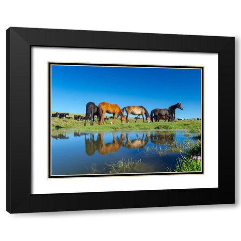 Horses on their mountain pasture at lake Song Kol  Black Modern Wood Framed Art Print with Double Matting by Zwick, Martin