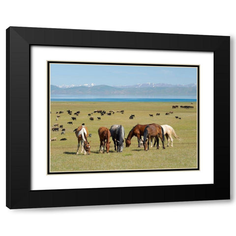 Horses on their mountain pasture at lake Song Kol  Black Modern Wood Framed Art Print with Double Matting by Zwick, Martin