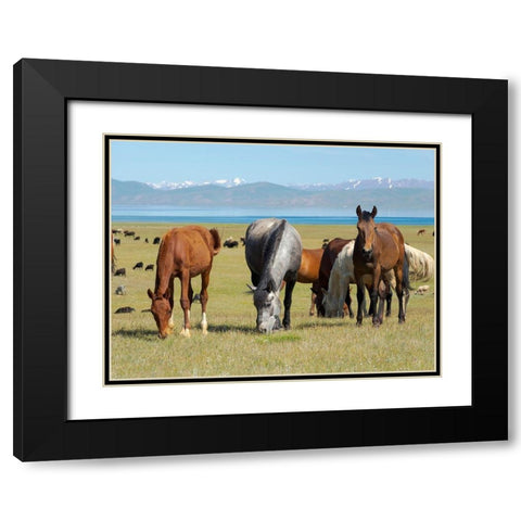 Horses on their mountain pasture at lake Song Kol  Black Modern Wood Framed Art Print with Double Matting by Zwick, Martin