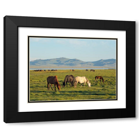 Horses on their mountain pasture at lake Song Kol  Black Modern Wood Framed Art Print with Double Matting by Zwick, Martin